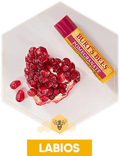 BURT'S BEES - LIP BALM SUPERFRUIT BURT'S BEES 4 UNIDADES 17 G