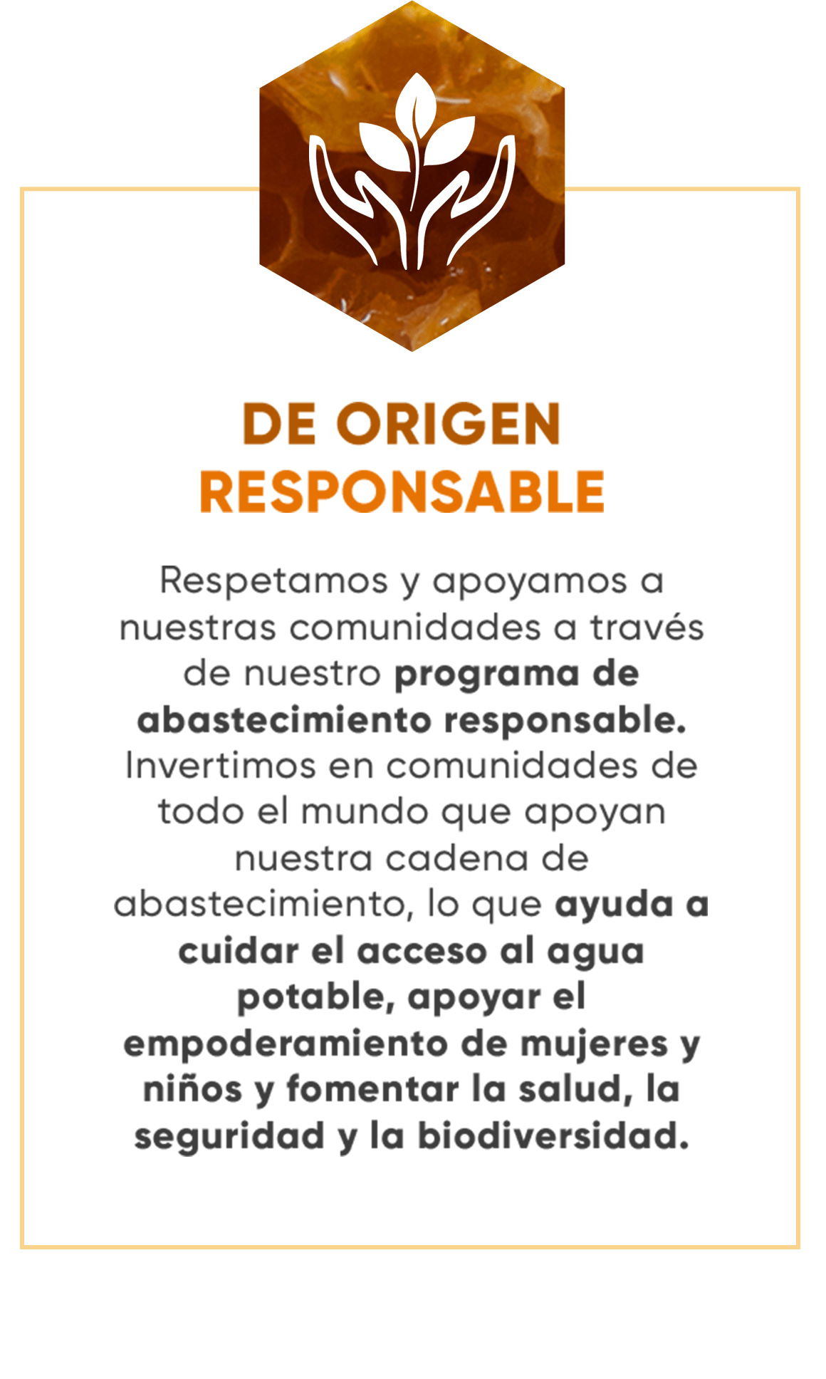 ORIGEN RESPONSABLE