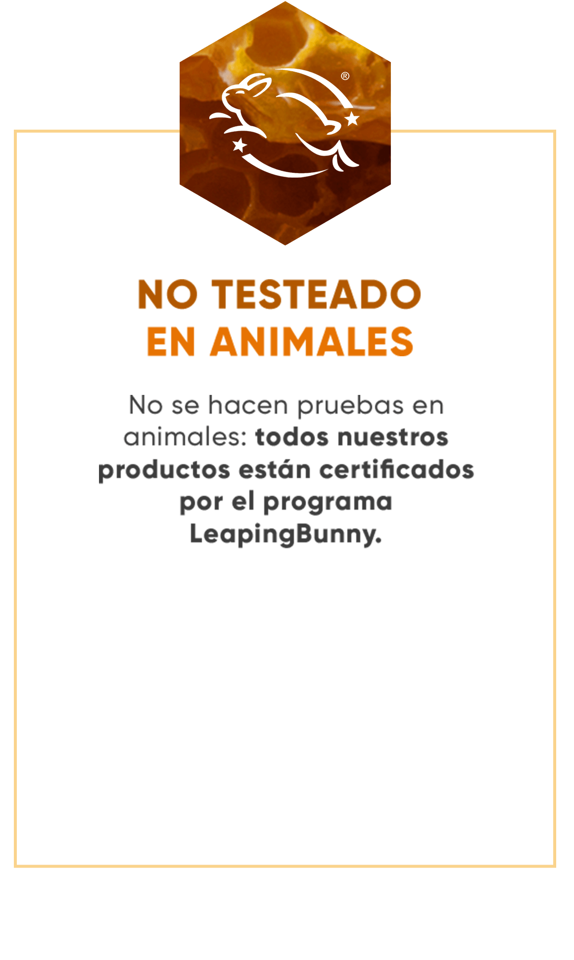 NO TESTEADO EN ANIMALES