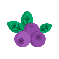arándanos