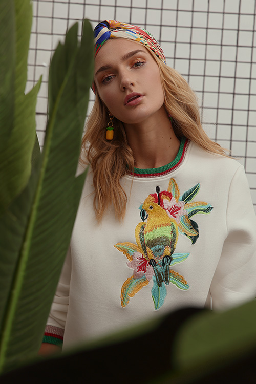 Tropical Nights