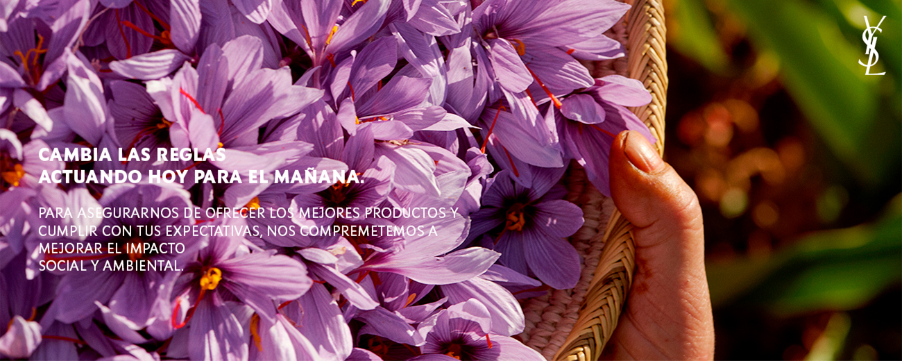 banner-footer