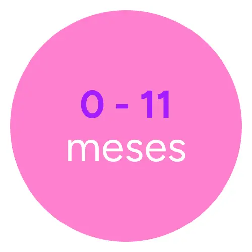 0 a 11 meses
