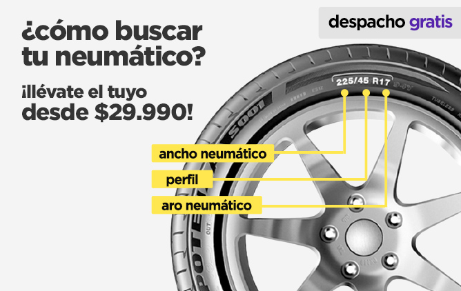 Neumáticos y llantas